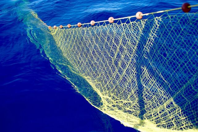 #Naxosfishingexperience#naxosfishing #fishingexperience #fishingxperience #fishing #greekfishing #fishinglife #fishingtrip #fishingnet #fishingnets #traditionalgreekfishingboat