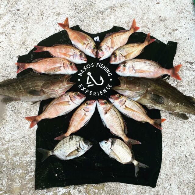 #naxosfishingexperience #naxosfishing #naxosisland #naxosgreece #naxos_island #fishing #fishinglife #fishing #winter #winterfishing #tshirts