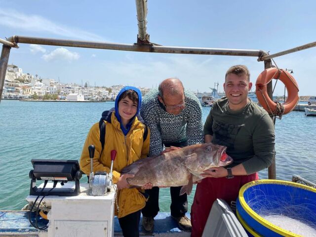 “Even a fish wouldn’t get into trouble if he kept his mouth shut” ————————————————————
#naxosfishingexperience #naxosfishing #naxosisland #naxos_island #naxosgreece #fishinglife #fish #fishing #fishingtrip #fishing🎣 #fishingislife #fishingfun #fishingaddict #fishingdaily #fishinglifestyle #boat #boatlife #boatfishing #boattrip #fun #hobby