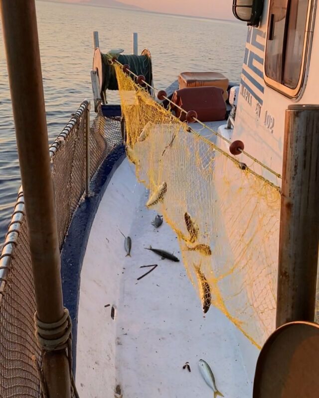 “There will be days when the fishing is better than one’s most optimistic forecast, others when it is far worse. Either is a gain over just staying home”
#naxosfishingexperience #naxos_island #naxosisland #naxosgreece #naxosfishing #fish #fishinglife #fishing #fishnets #fishingtrip #fishingfun #fishingboat #fishingislife #fishinglovers #fishingday #fishingphotography #fishporn