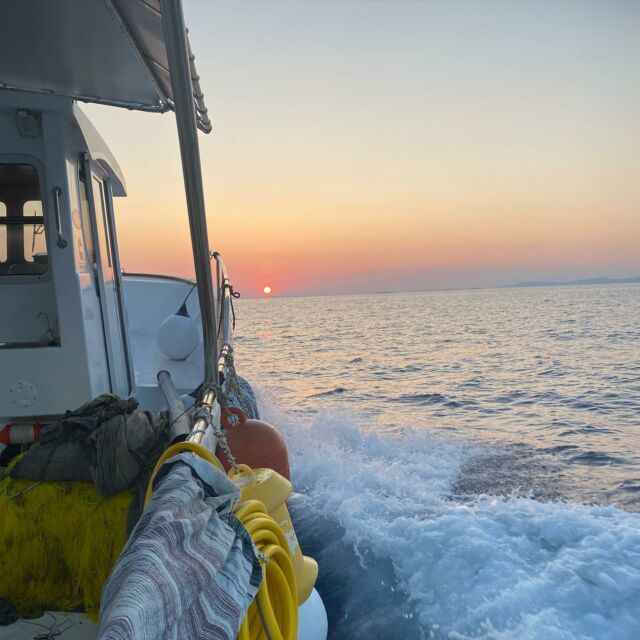 “Peace is not found in a calmer storm , it’s found in a  better boat” 
 ~Travis Meadows~ ——————————————————————————————— #naxosfishingexperience #naxosfishing #naxosfishingtours #naxosfish #naxosfisherman #fishing #fishnets #fishinglife #fishing🎣 #fishingtrip #fishing🐟 #fischen #fischentradition #newboat